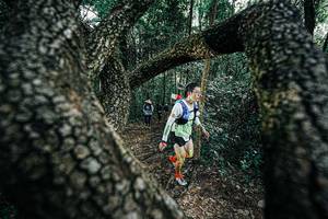 BIB: 
                            <button type="button" onclick="openModal(25392032)" class="btn btn-primary btn-sm float-right btn-popup" data-toggle="modal" data-target=".modal-high-quality">
                        <i class="fas fa-shopping-cart"></i> Add to Cart
                    </button>
                                            <button type="button" onclick="isThisMe(25392032, true)" class="btn btn-success btn-sm float-right btn-popup btn-isme hidden" data-toggle="tooltip" data-placement="bottom" title="นี่คือรูปของคุณใช่ไหม คลิกที่นี่เพื่อเอาเข้าอัลบั้ม">
                        <i class="fas fa-plus"></i> Add to album
                    </button>
                    <button type="button" onclick="isThisMe(25392032, false)" class="btn btn-warning btn-sm float-right btn-popup btn-isnotme hidden">
                        <i class="fas fa-ban"></i> Remove from album
                    </button>